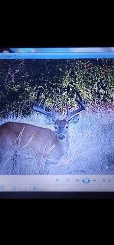 $2,000,000 | 1140 County Road 130, Gatesville, TX 76528