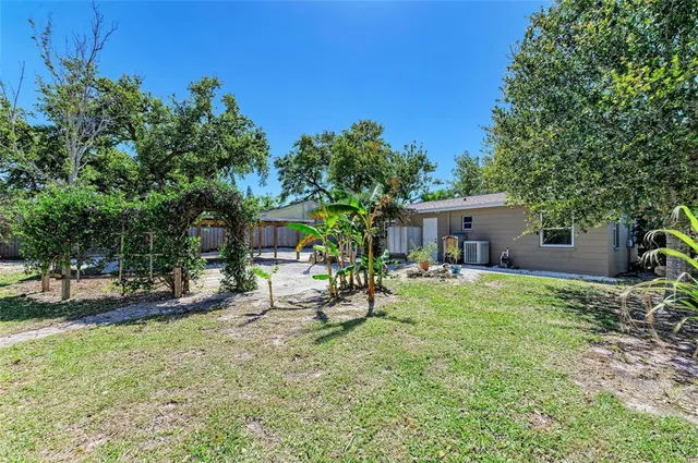 a view of a backyard with table and chairs potted plants and palm trees
