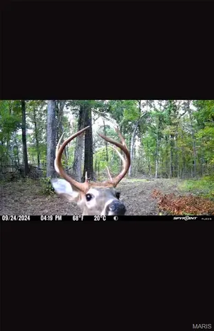 $399,900 | 2962 County Road 496, New Bloomfield, MO 65063