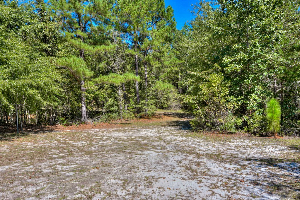 325 Nickeltop Road Windsor, SC 29856 - Photo 35 of 39