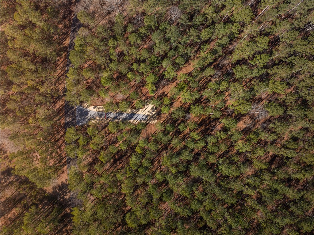 3 Simms Mill Road Liberty, SC 29657 - Photo 3 of 9
