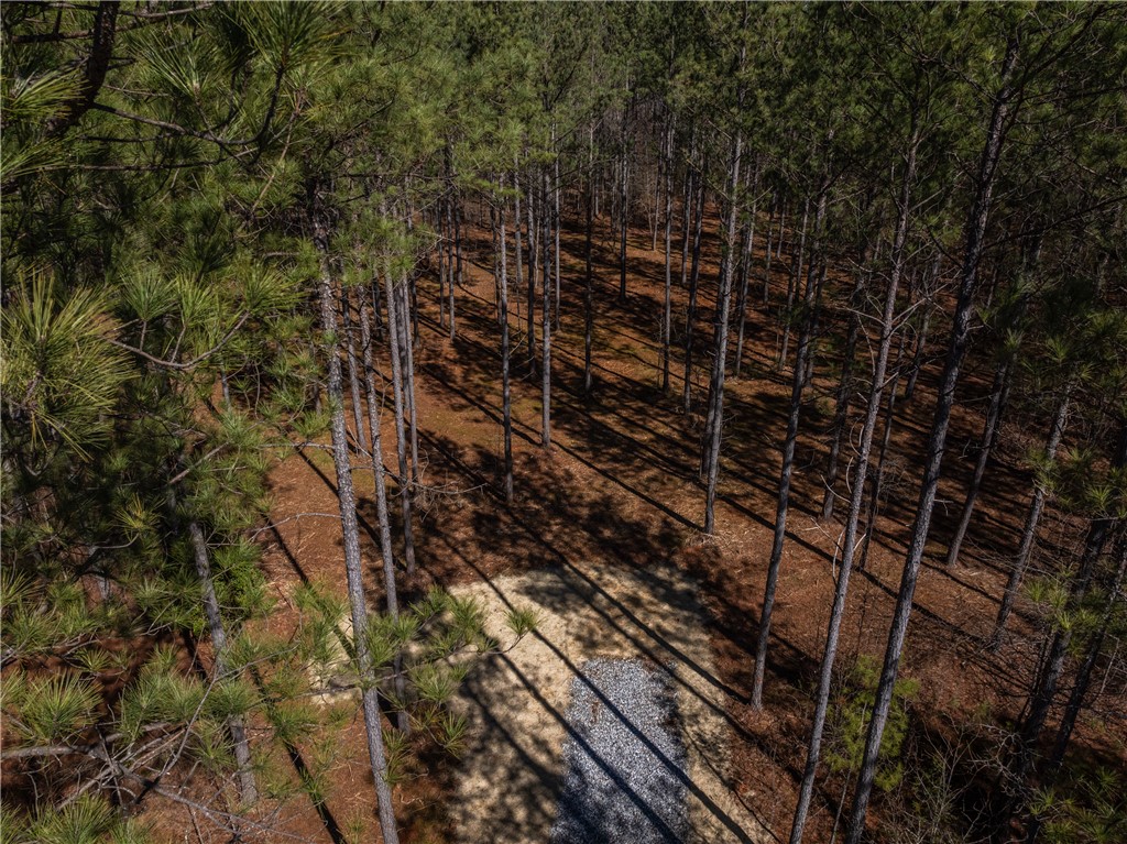 3 Simms Mill Road Liberty, SC 29657 - Photo 5 of 9