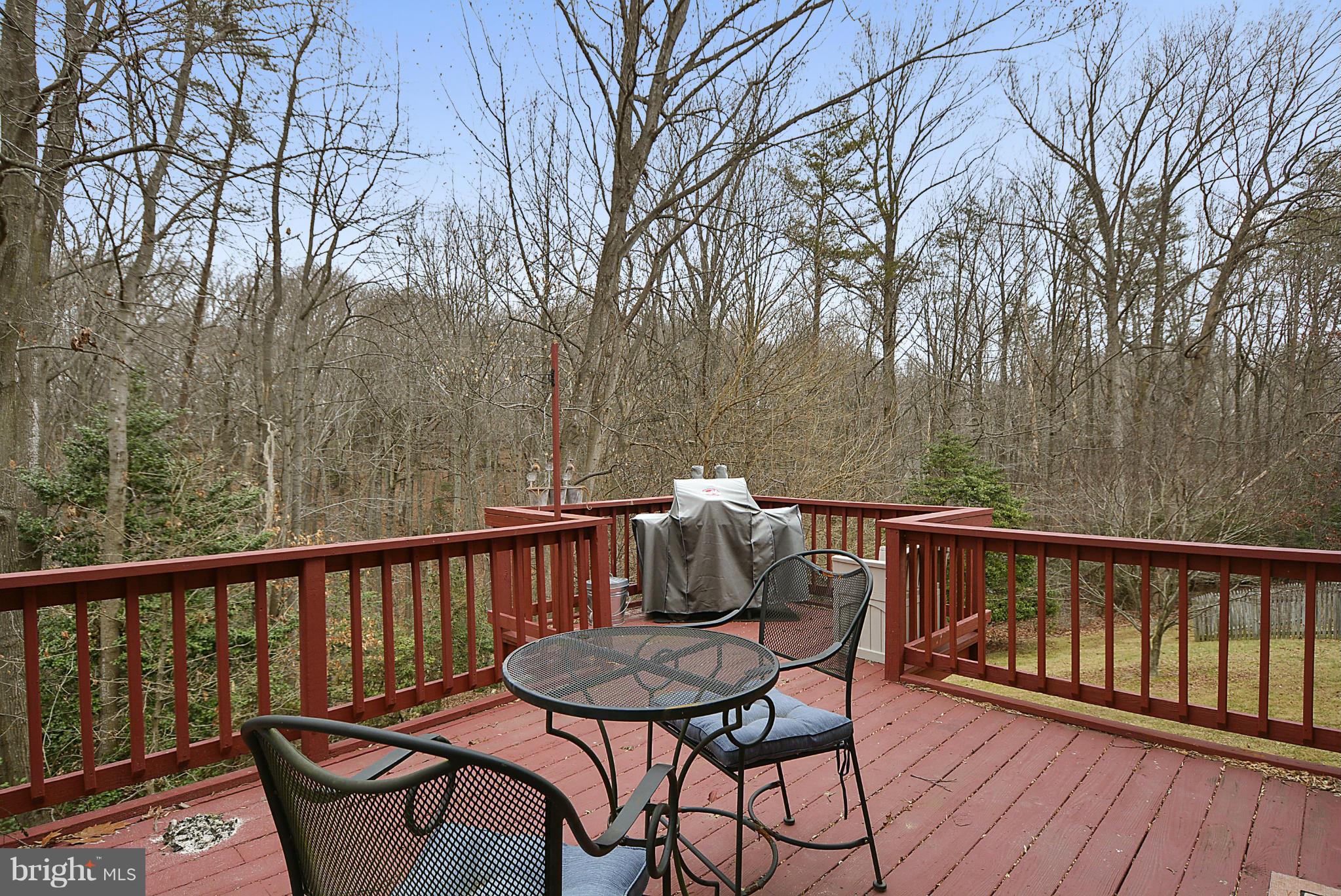 11449 Encore Drive Silver Spring, MD 20901 - Photo 9 of 30 Deck facing the woods