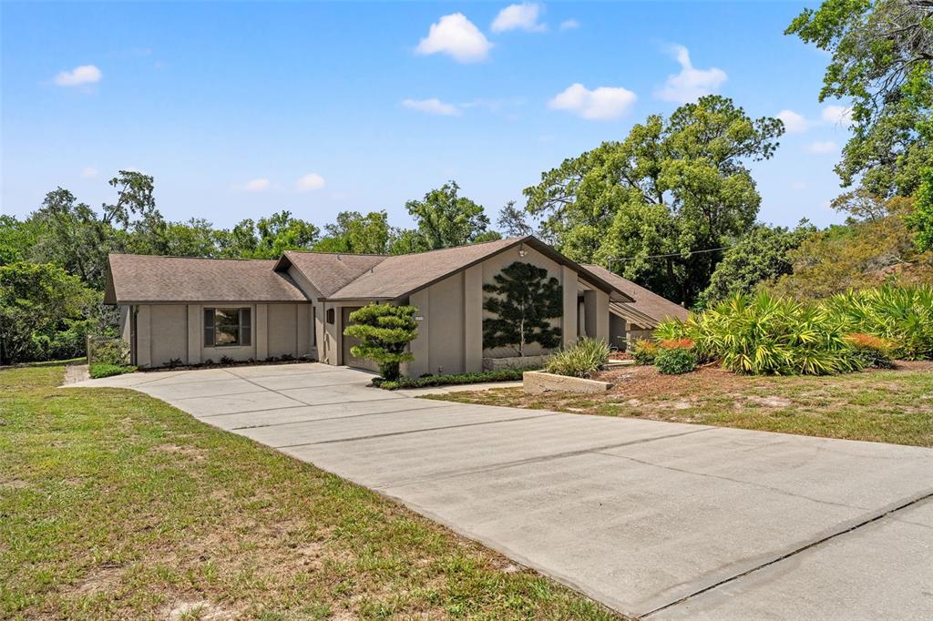 6230 Dorset Road Spring Hill, FL 34608 - Photo 1 of 1 Gallery Image 1