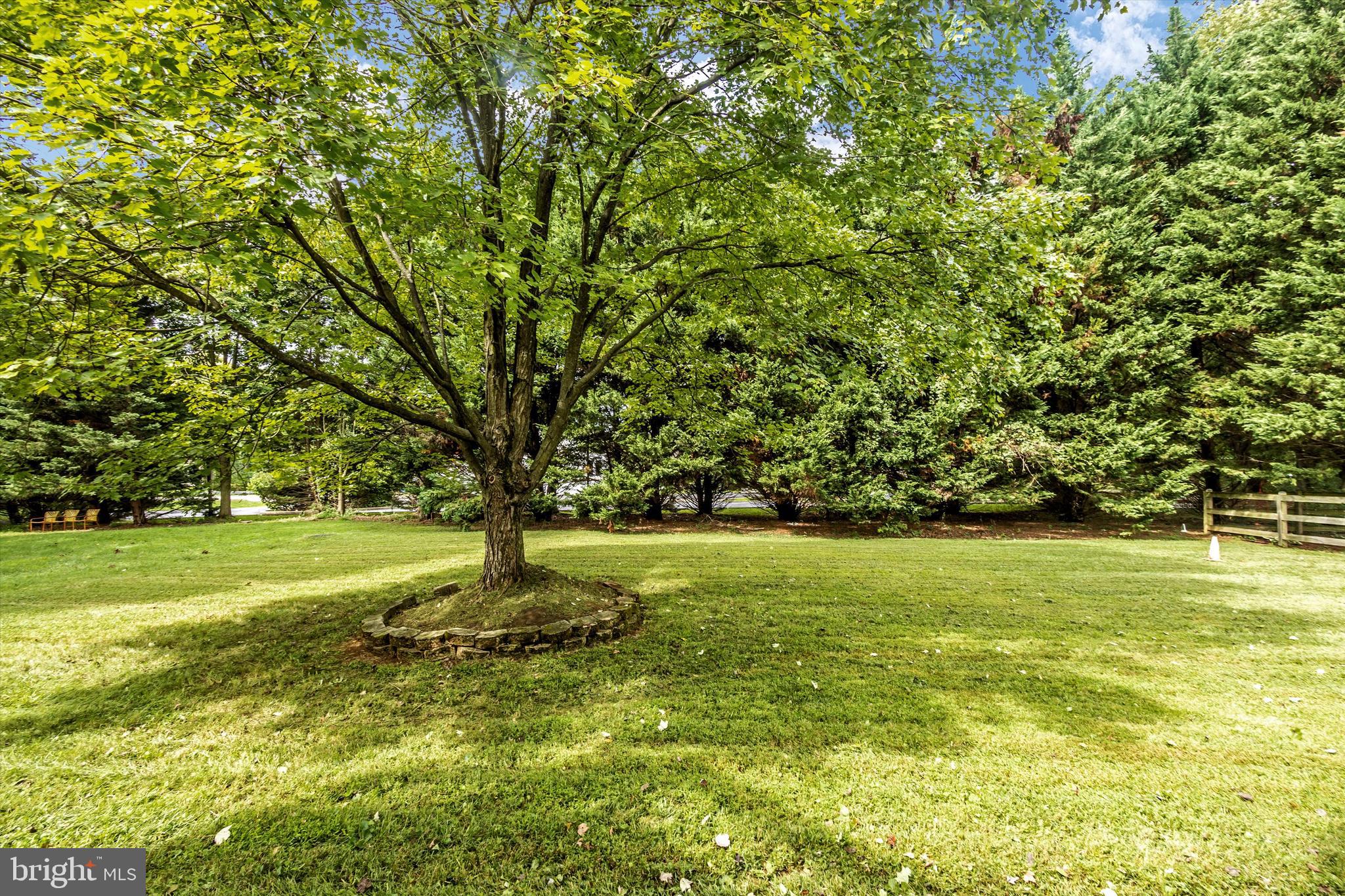 9432 Ridgeview Drive Columbia, MD 21046 - Photo 2 of 41 Beautiful yard