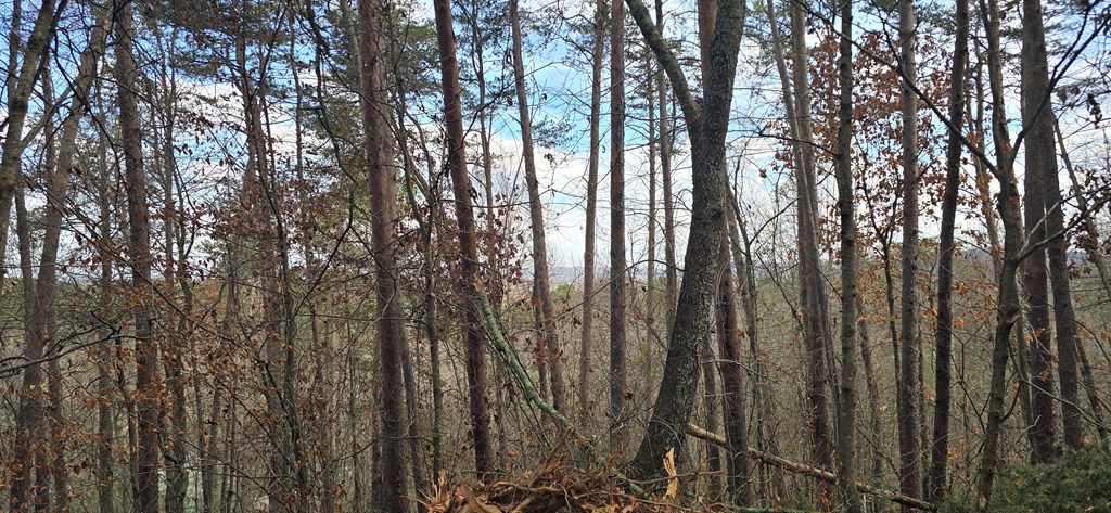 30 Gillespie Road Fairmount, GA 30139 - Photo 3 of 13 a view of outdoor space with wooden fence