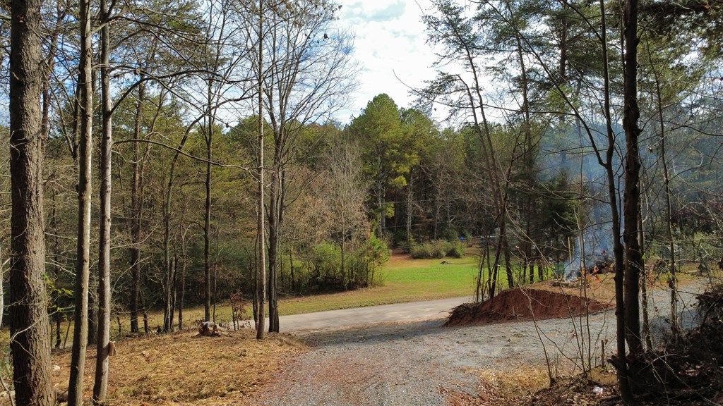 30 Gillespie Road Fairmount, GA 30139 - Photo 8 of 13 a view of a park