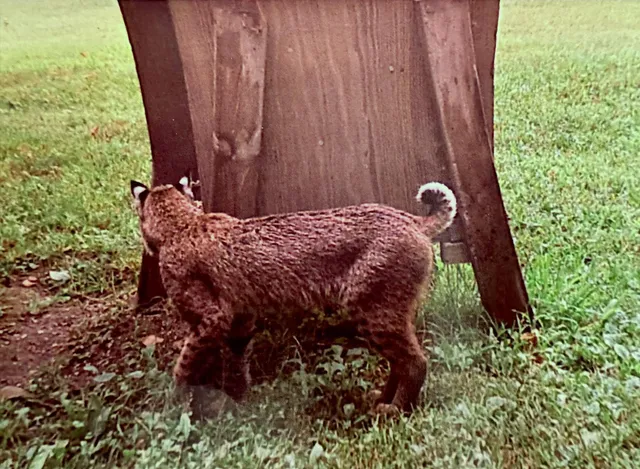 $719,900 | 3211 Ivory Street, Isle, MN 56342