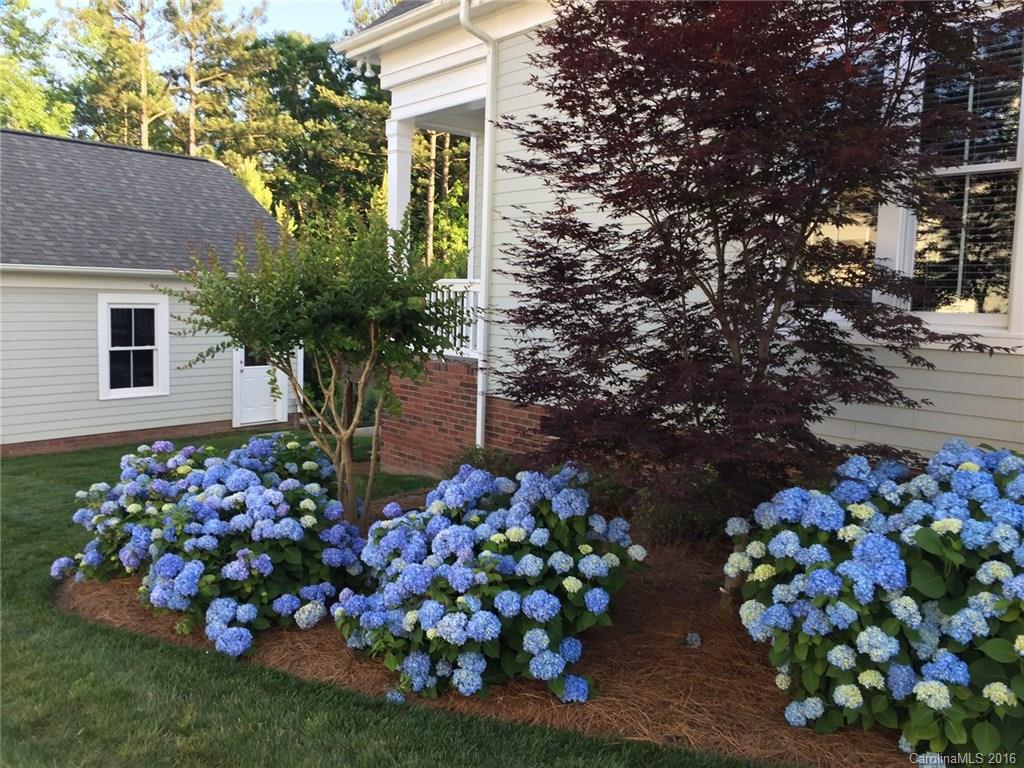 3542 Richard's Crossing Fort Mill, SC 29708 - Photo 5 of 24 a front view of a house with lots of flowers and trees