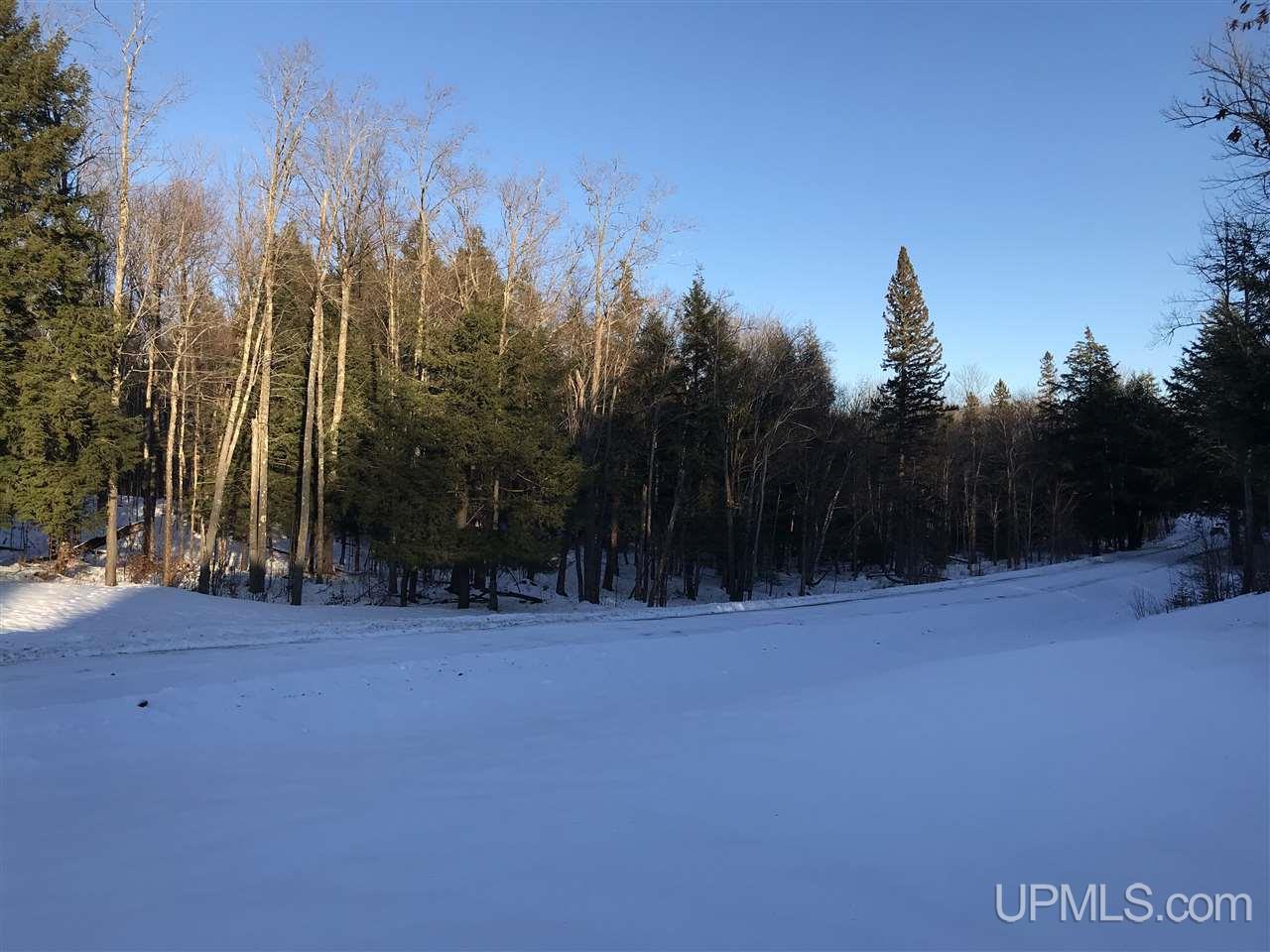 19353 Arvon Road Lanse, MI 49946 - Photo 45 of 46 Gallery Image 45