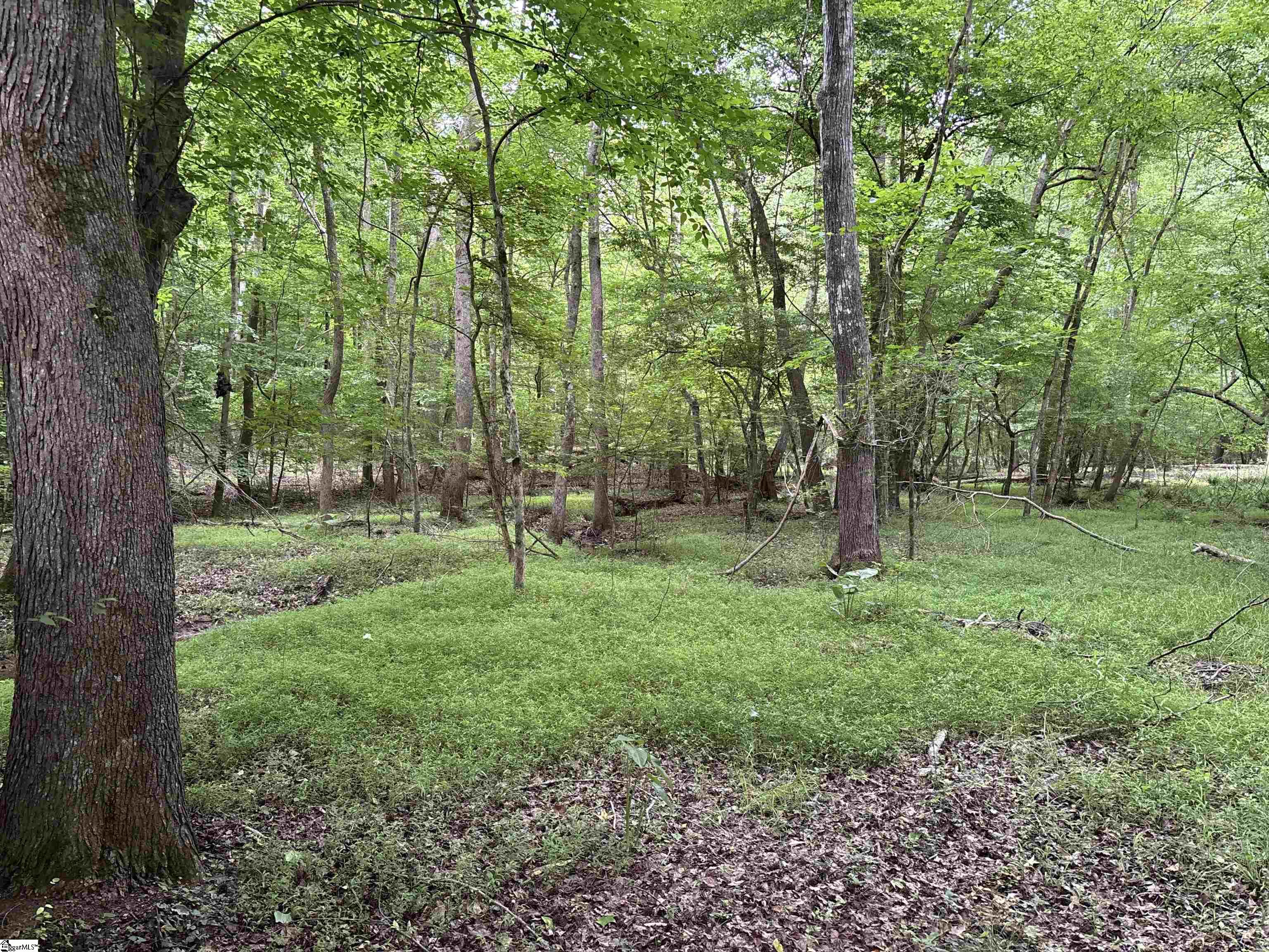 1087 Bobby Faucette Road Jonesville, SC 29353 - Photo 28 of 47