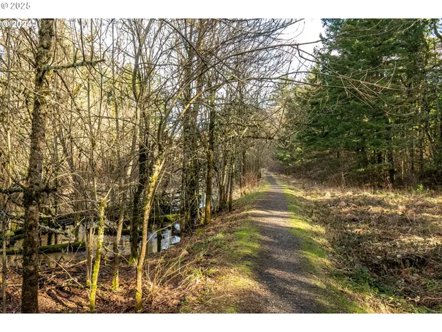 a view of a lake in middle of the town