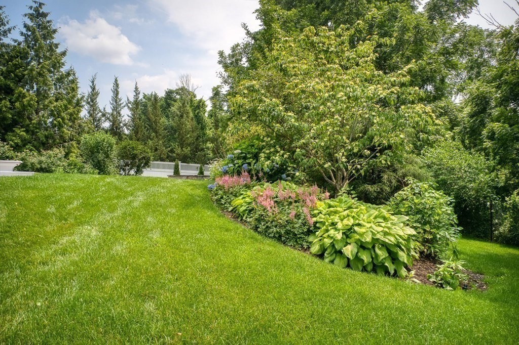 6 High Meadow Road Andover, MA 01810 - Photo 7 of 41 a view of green field with trees in the background