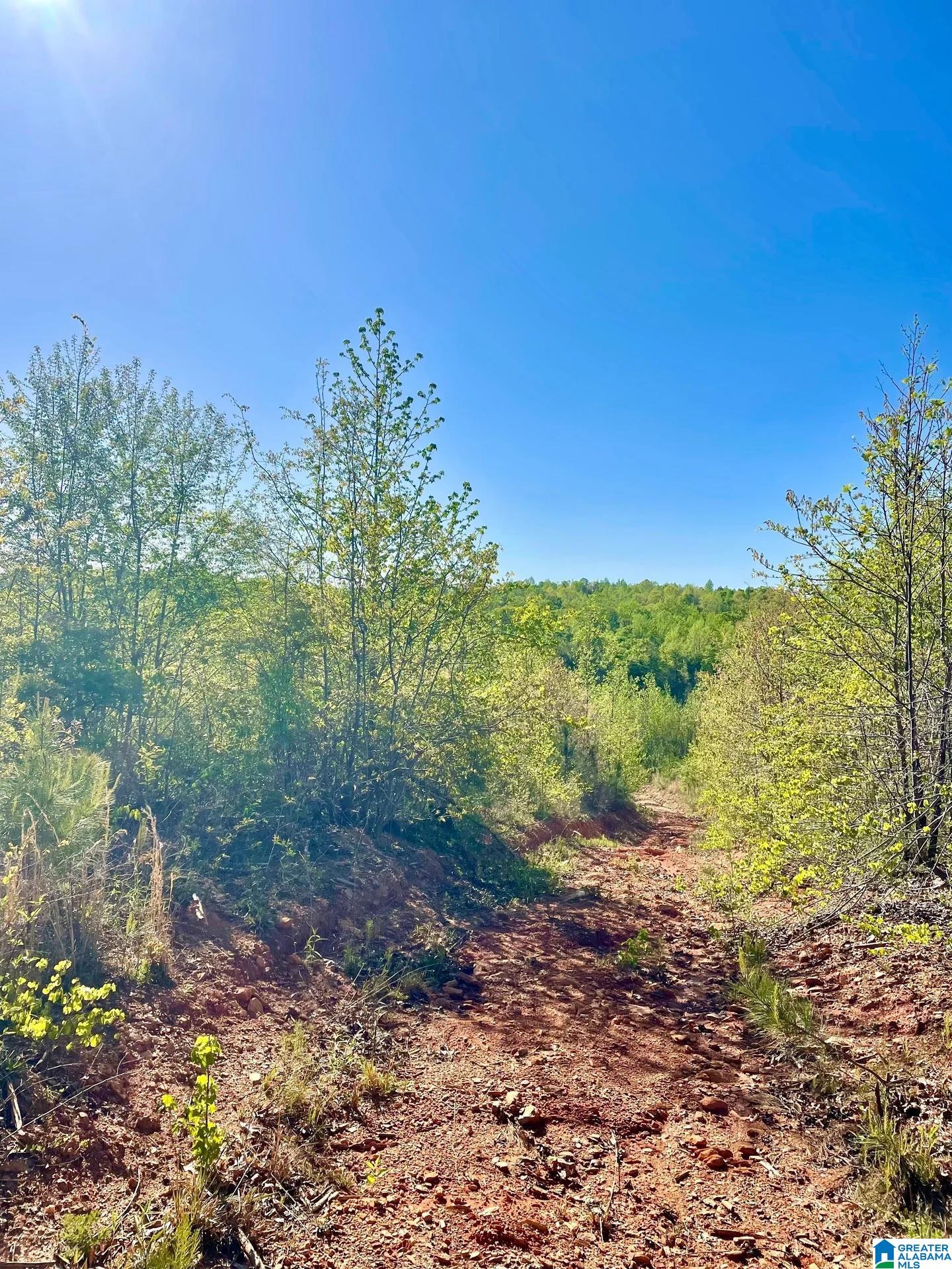 0 Landfill Road, Unit 1 Ashland, AL 36251 - Photo 14 of 15