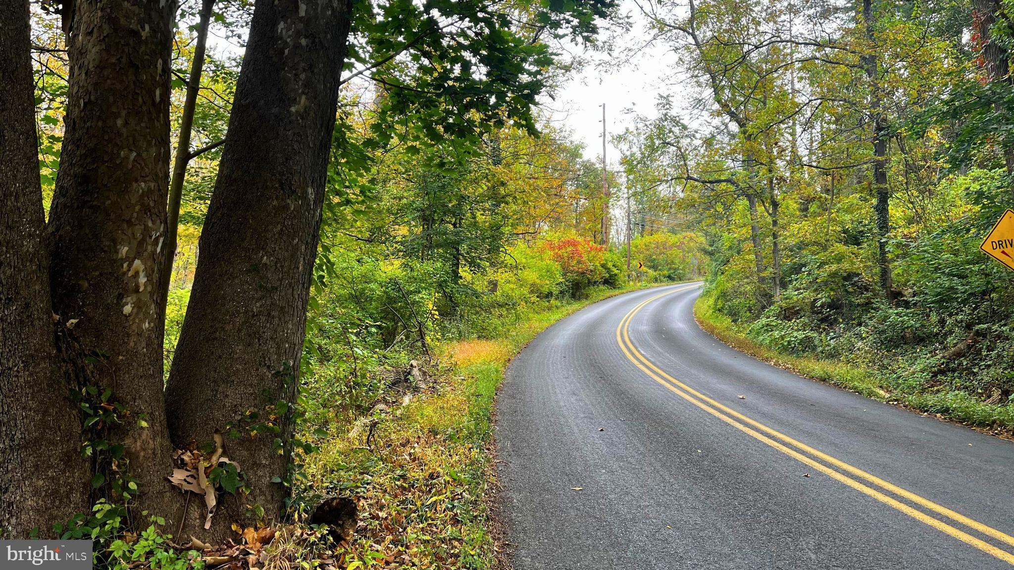0 Center Hill Road Kintnersville, PA 18930 - Photo 2 of 4 a view of a garden with an outdoor space