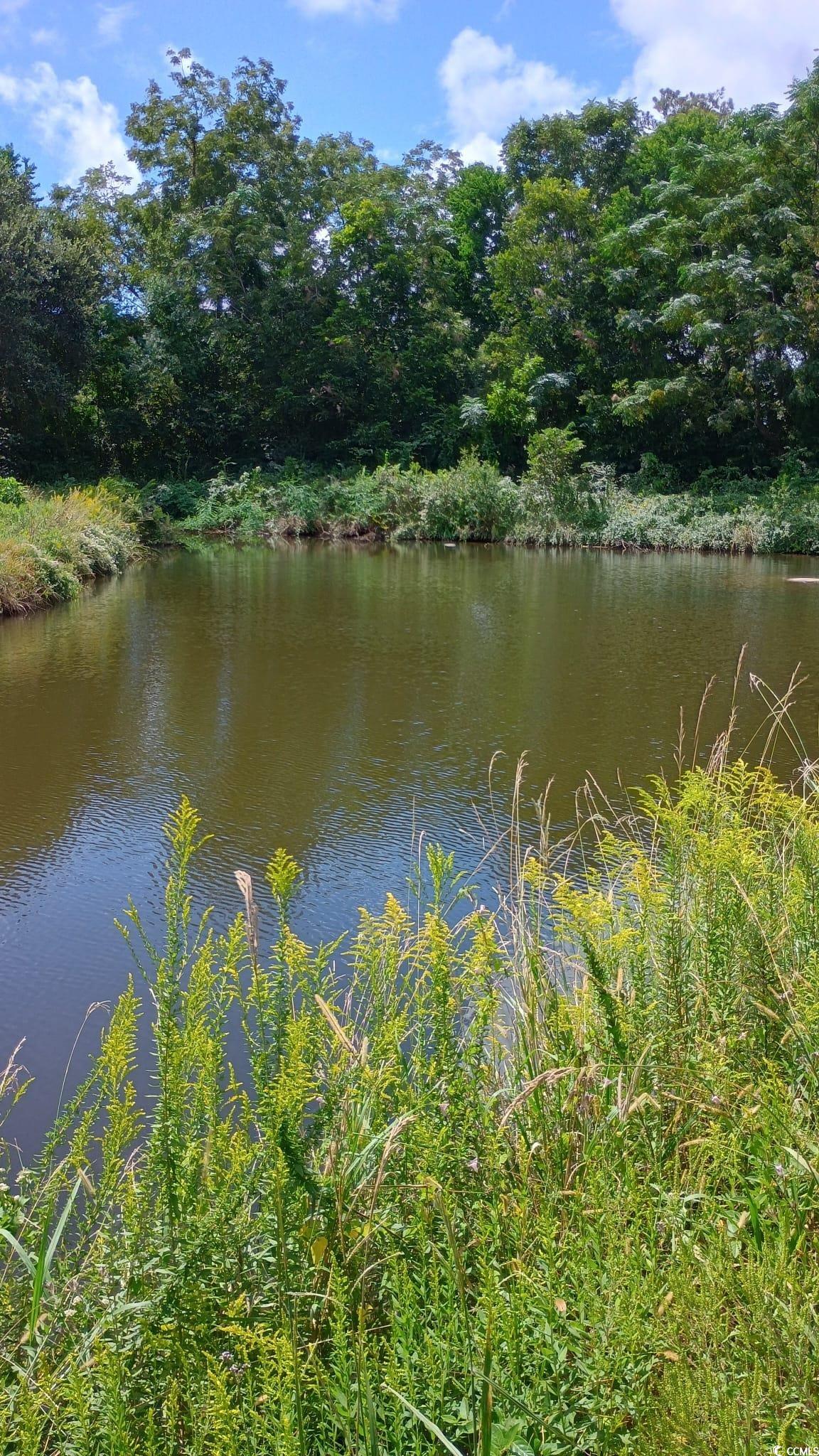 Tbd Cravens Street Georgetown, SC 29440 - Photo 3 of 12
