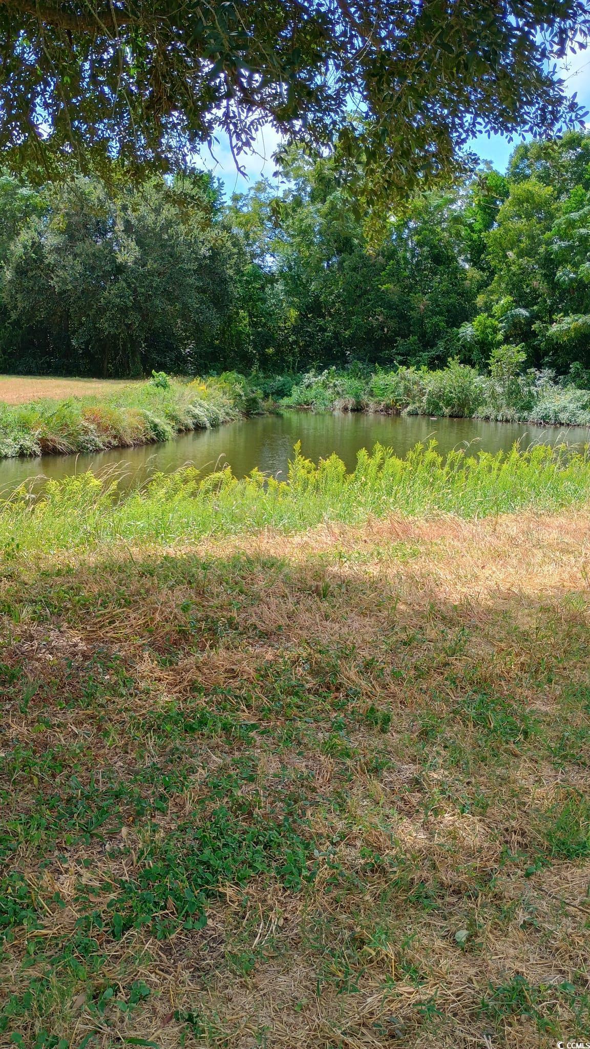 Tbd Cravens Street Georgetown, SC 29440 - Photo 4 of 12