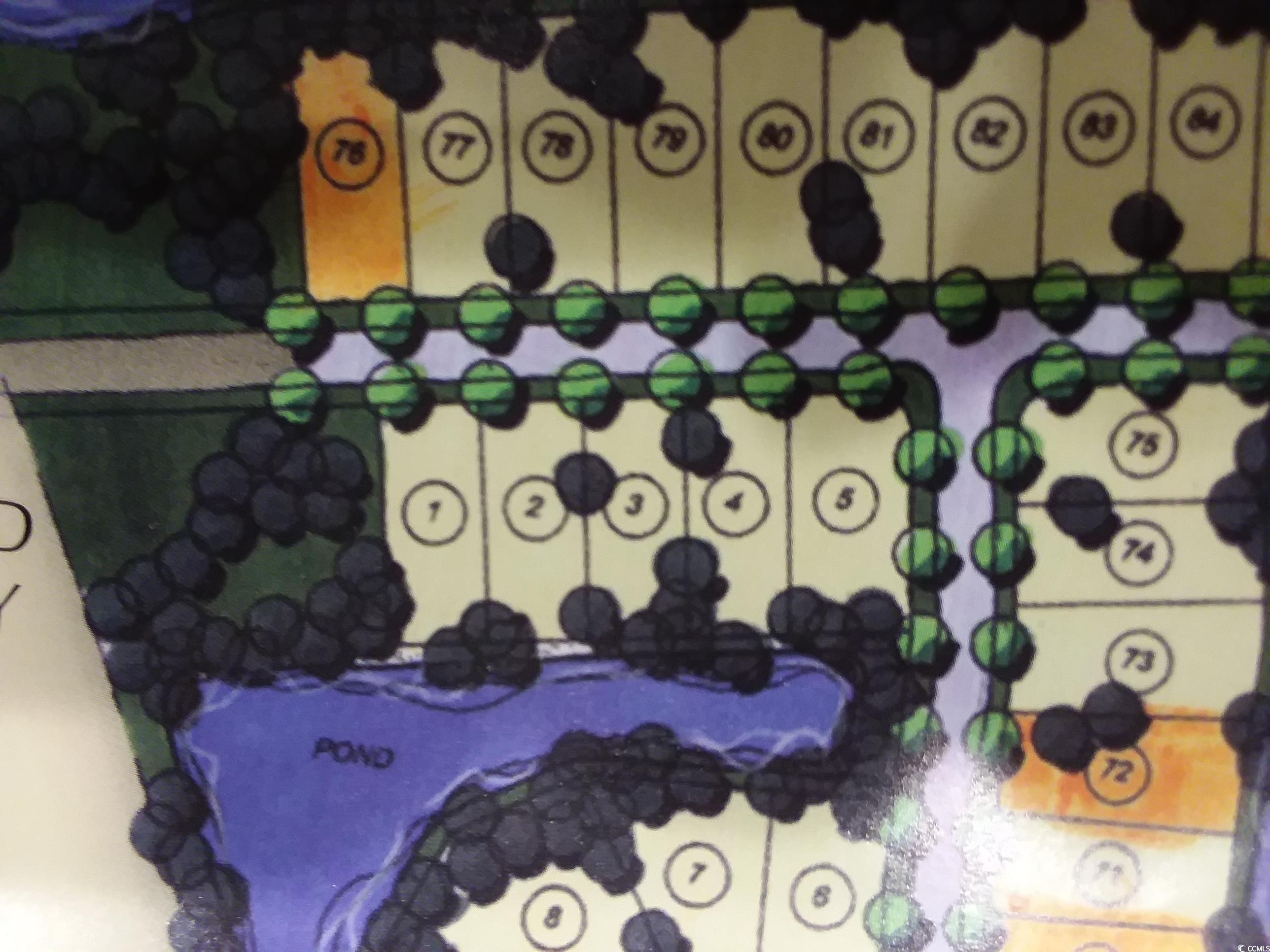 Tbd Cravens Street Georgetown, SC 29440 - Photo 5 of 12