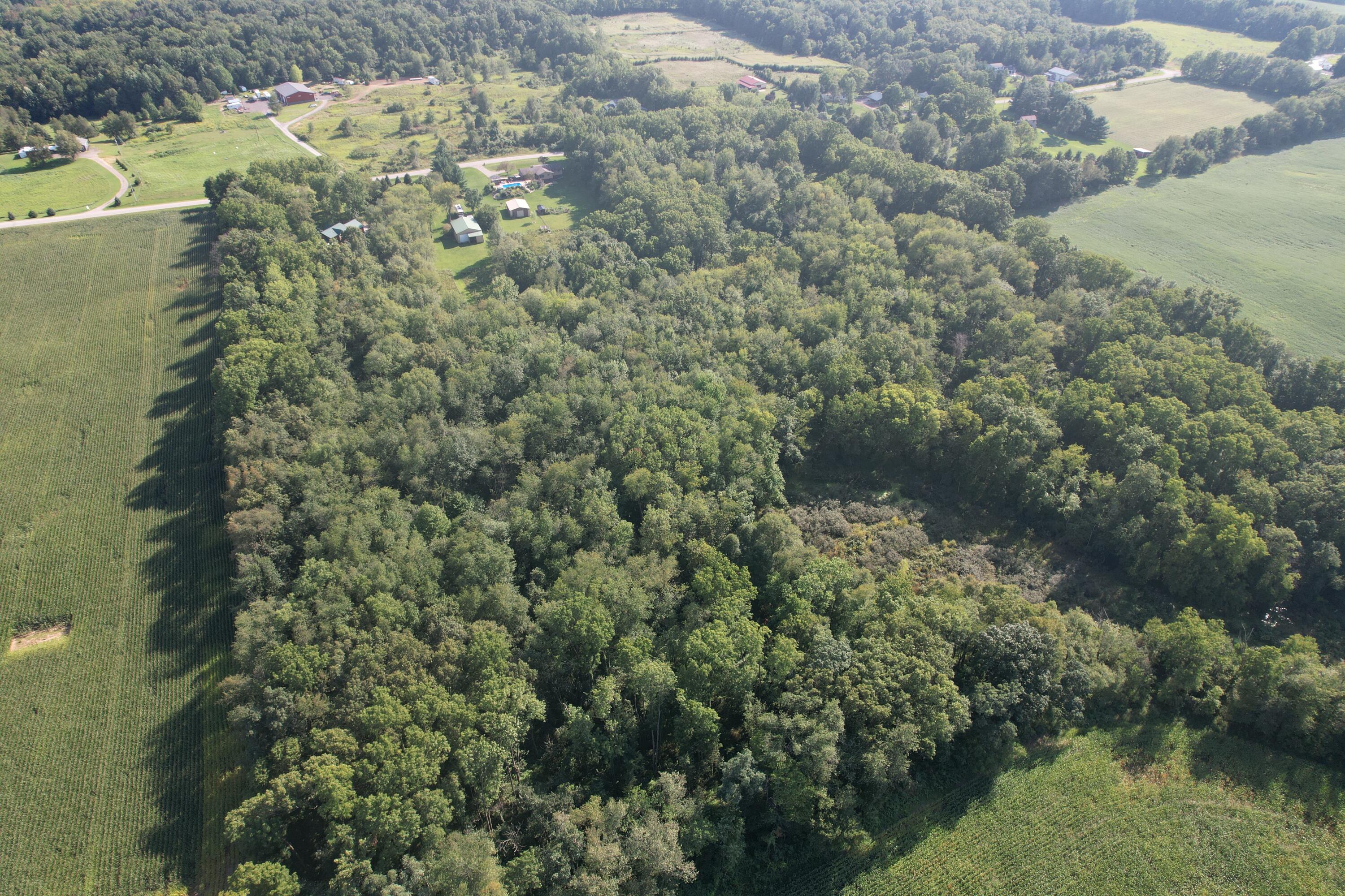 138 East Rose Road Coldwater, MI 49036 - Photo 27 of 66 DJI_0091