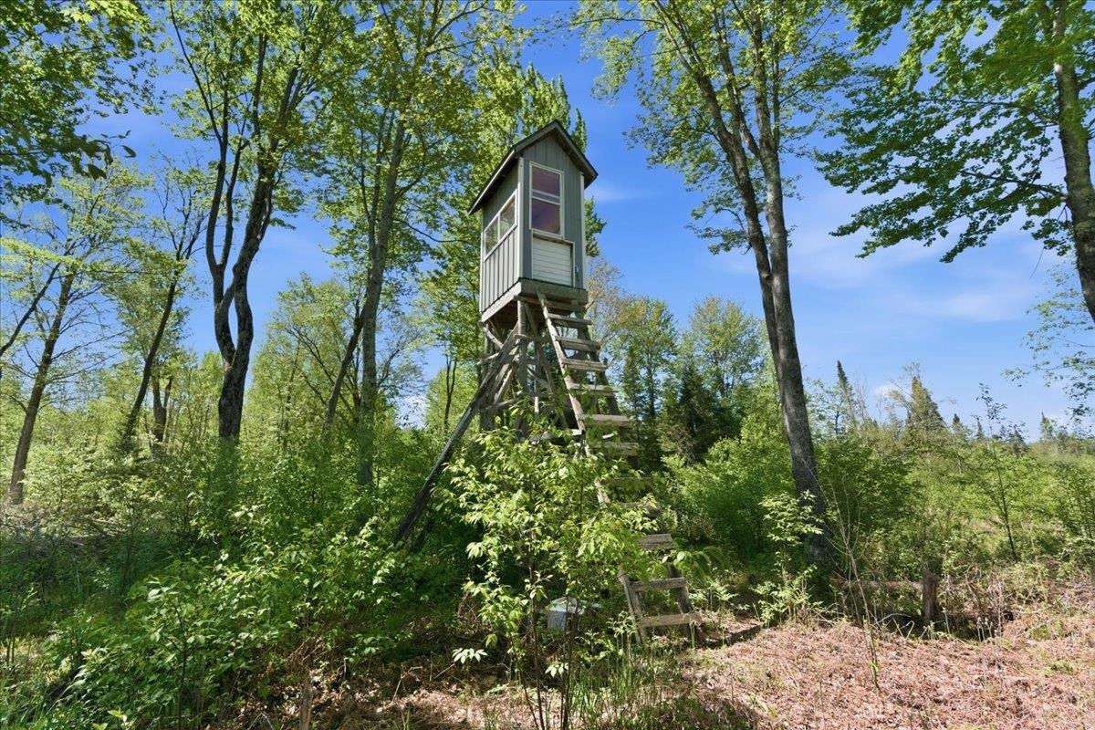 0 County Highway J Deerbrook, WI 54424 - Photo 19 of 78