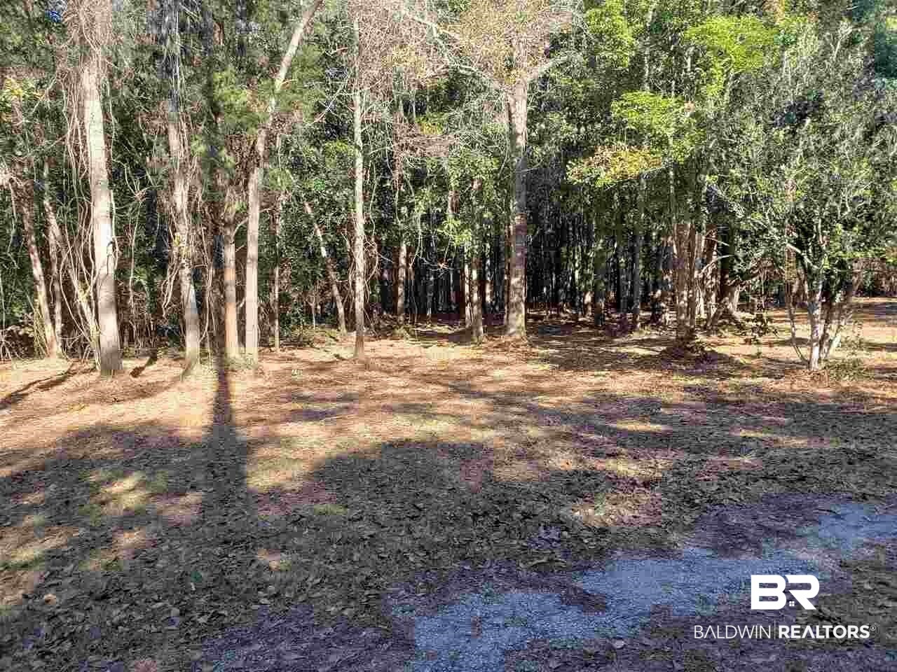 21655 Highway 98 Foley, AL 36535 - Photo 11 of 22