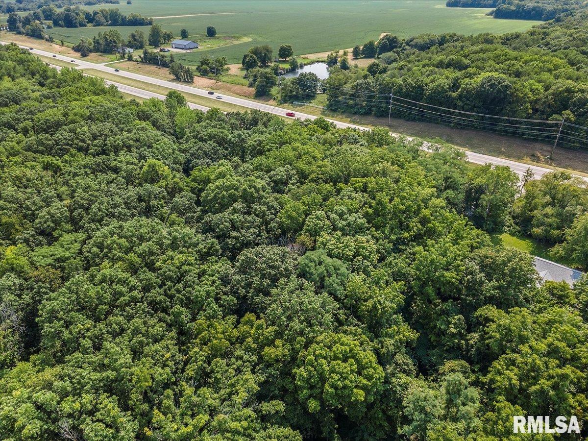 0 State Rte 4 Springfield, IL 62711 - Photo 8 of 9