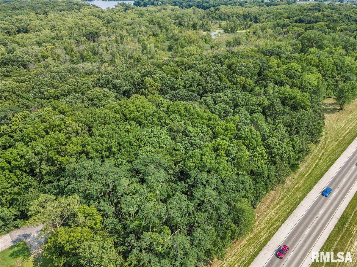 0 State Rte 4 Springfield, IL 62711 - Photo 9 of 9