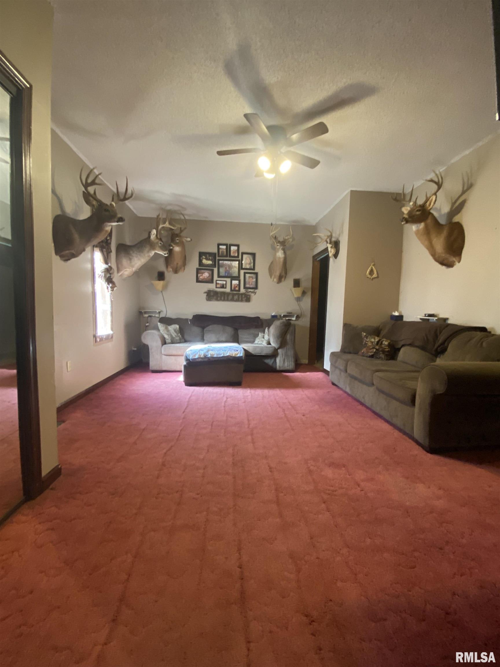 842 Flinn Road Franklin, IL 62638 - Photo 6 of 15