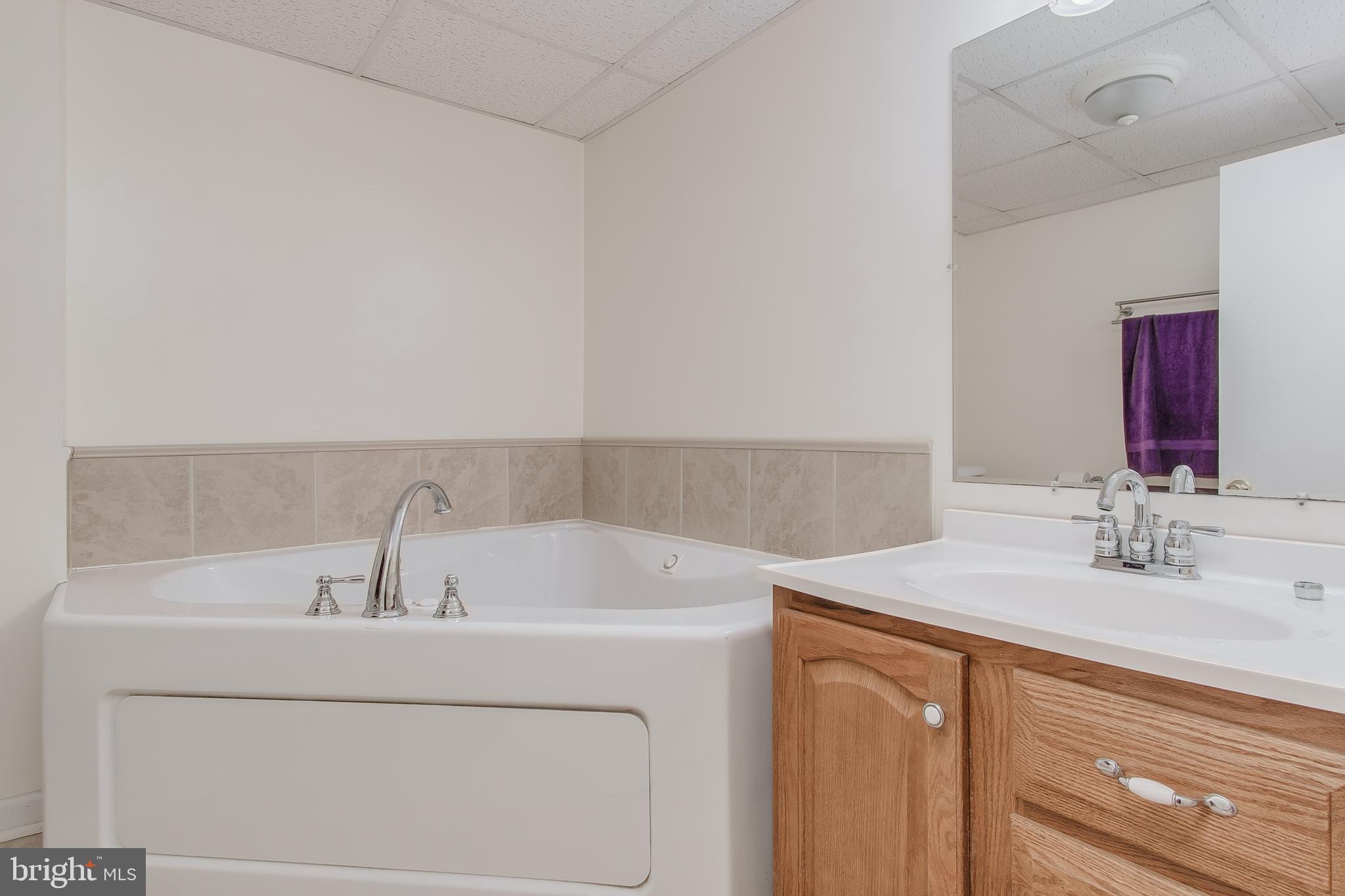 7719 Fairplay Road Boonsboro, MD 21713 - Photo 36 of 46 Lower level Bath