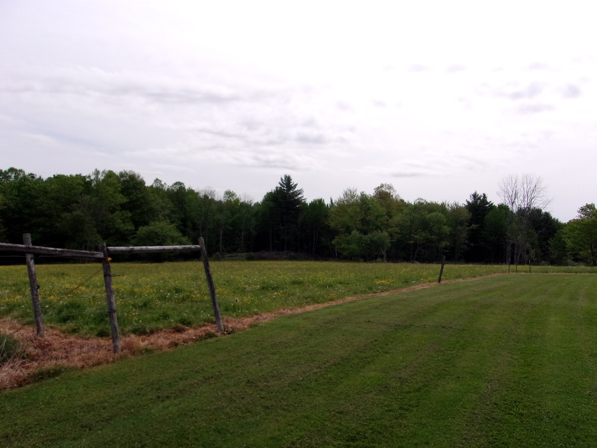114 Fred Catlin Road Owego, NY 13827 - Photo 38 of 50