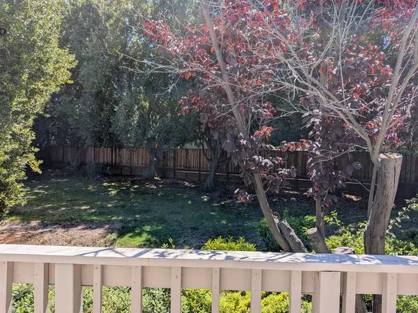 a view of a backyard with tree s