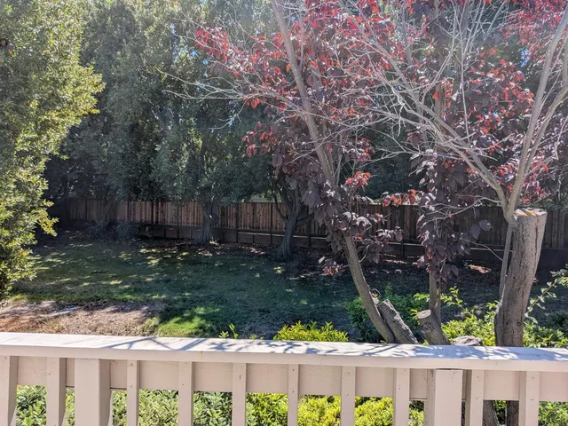 a view of a backyard with tree s