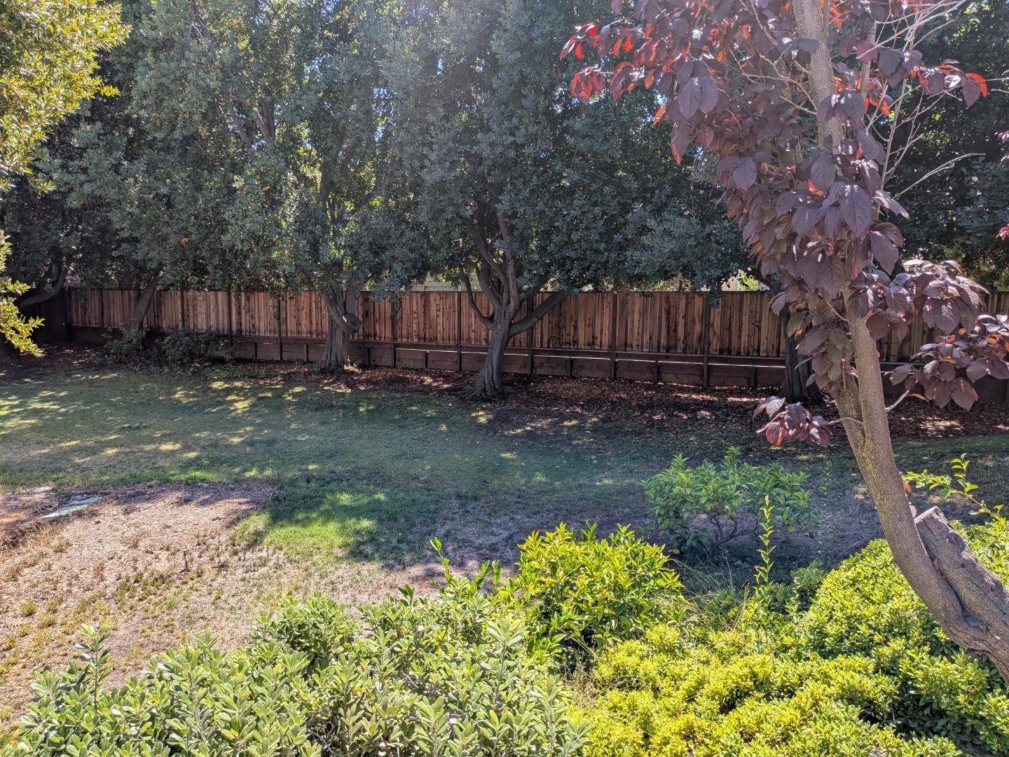 217 Ada Avenue, Unit 45 Mountain View, CA 94043 - Photo 14 of 43 a backyard of a house with lots of green space