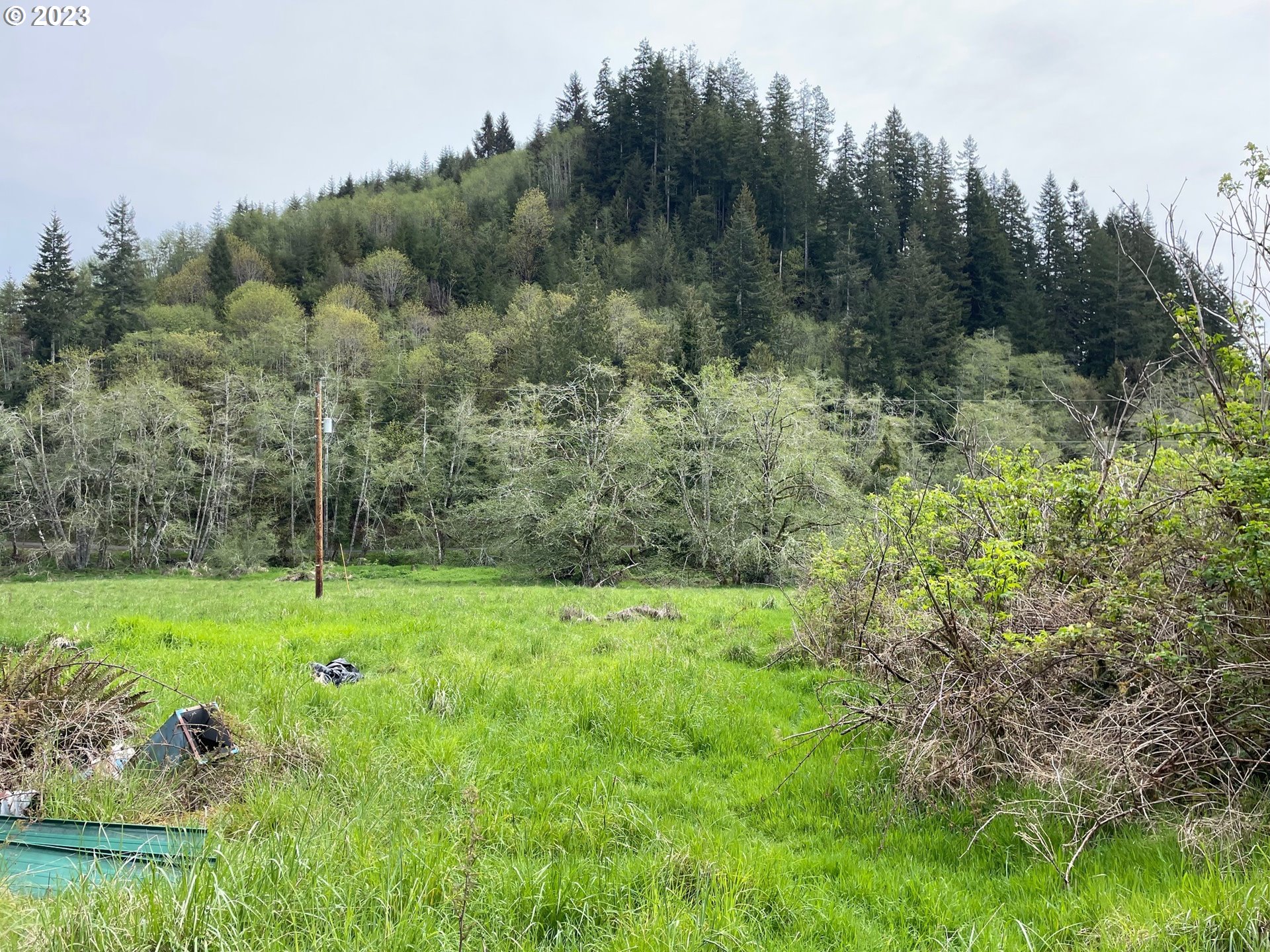 81020 Ranch Road Seaside, OR 97138 - Photo 3 of 8 Gallery Image 3
