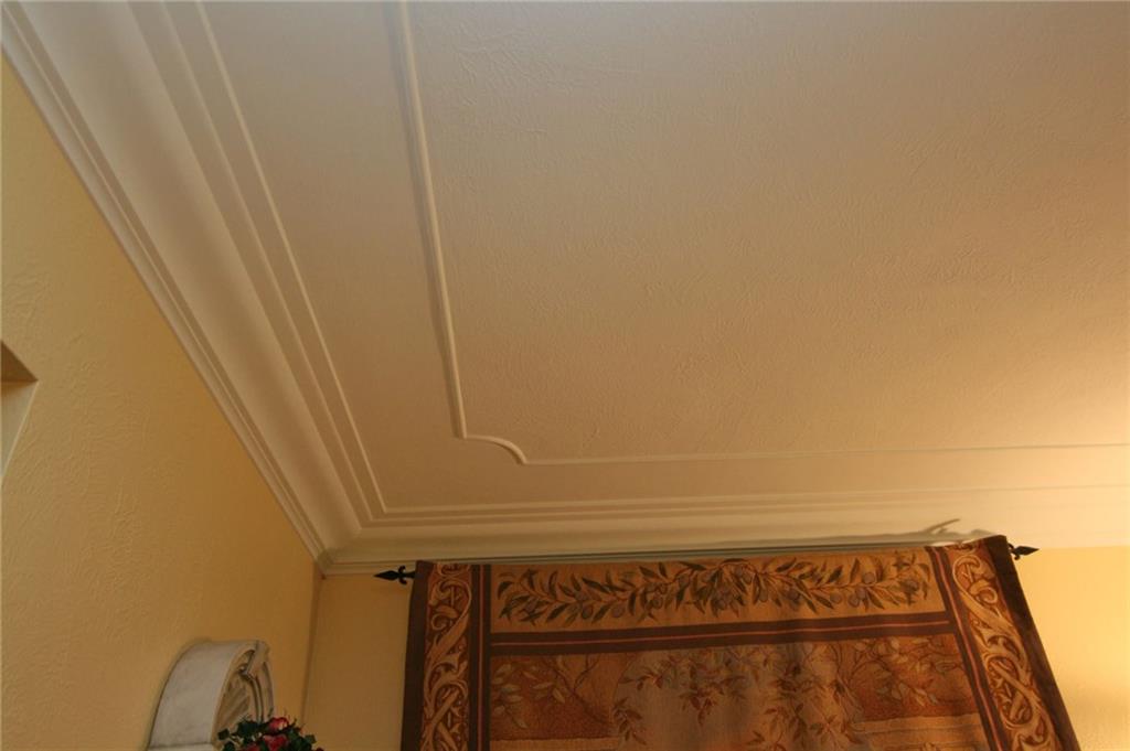 105 Center Church Road Canonsburg, PA 15317 - Photo 7 of 25 Custom plaster work and ceiling moldings...workmanship and quality of an era gone by....