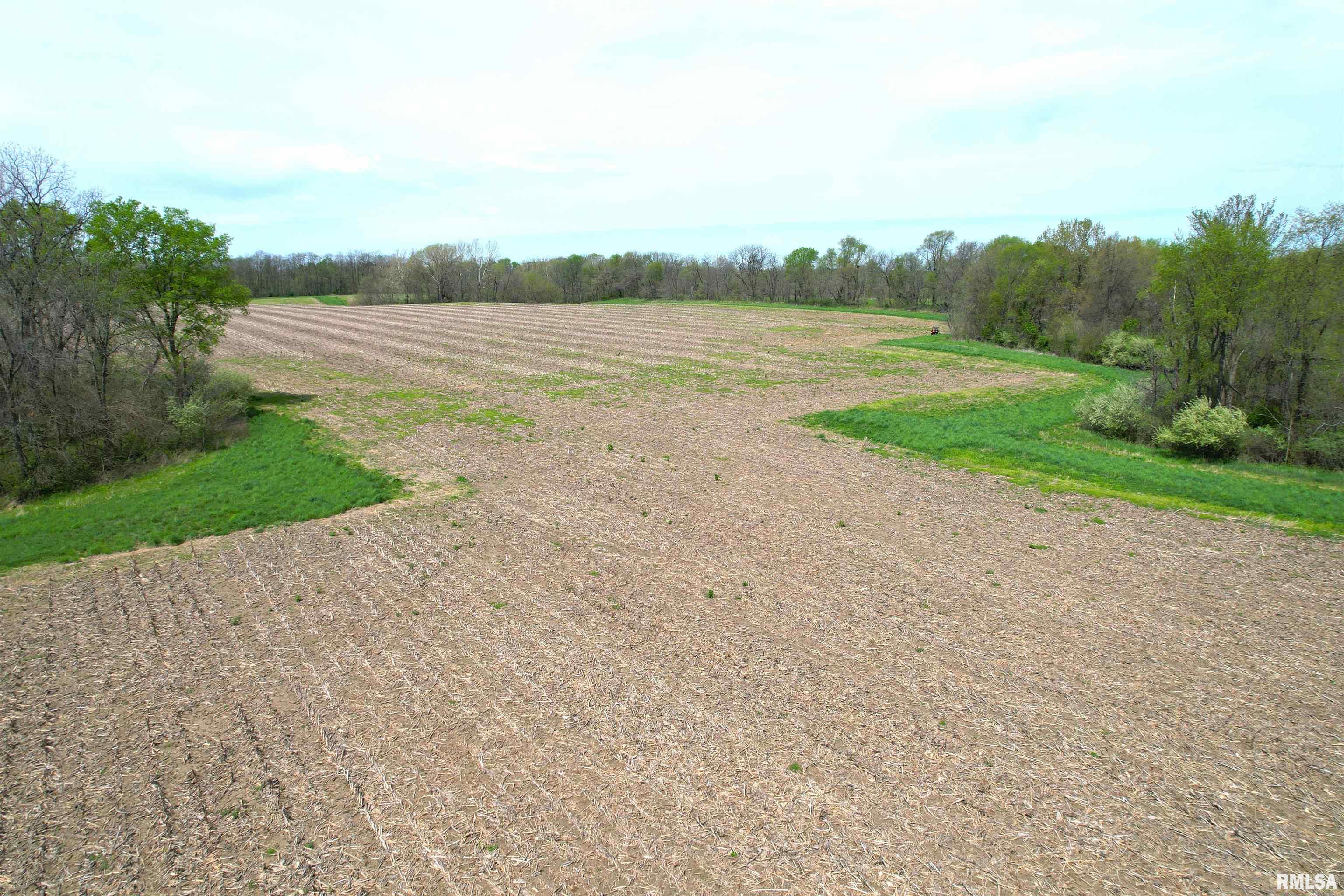Hammer Road Jacksonville, IL 62650 - Photo 3 of 18