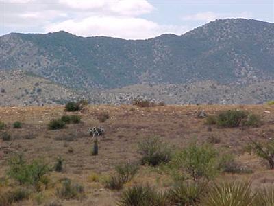0 Corner Of Treasure Road Pearce, AZ 85625 - Photo 4 of 4