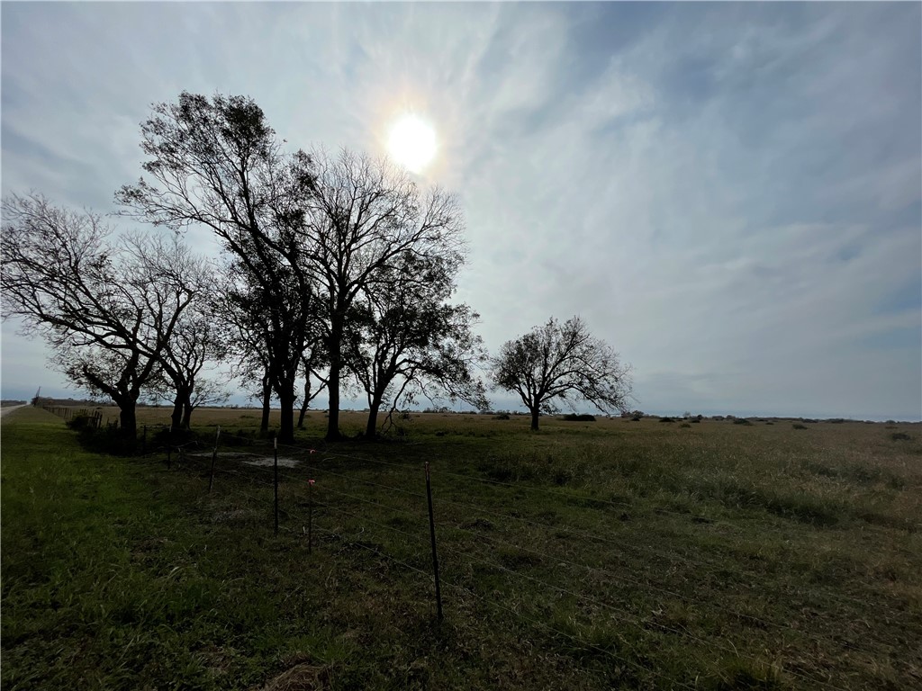 463 Barrett Road Palacios, TX 77465 - Photo 1 of 1 View towards CR 1862