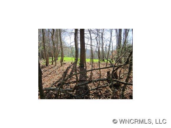 0 Snow Creek Road Bakersville, NC 28705 - Photo 1 of 7
