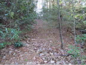 0 Snow Creek Road Bakersville, NC 28705 - Photo 2 of 7