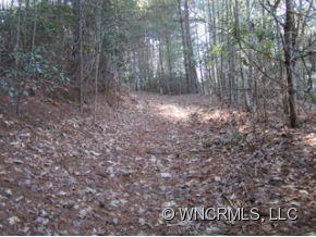 0 Snow Creek Road Bakersville, NC 28705 - Photo 3 of 7