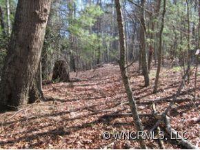 0 Snow Creek Road Bakersville, NC 28705 - Photo 4 of 7