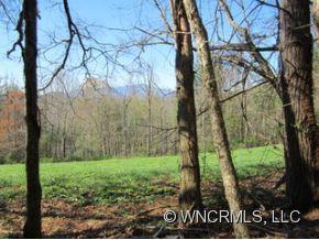 0 Snow Creek Road Bakersville, NC 28705 - Photo 5 of 7