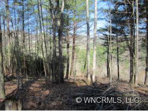 0 Snow Creek Road Bakersville, NC 28705 - Photo 6 of 7