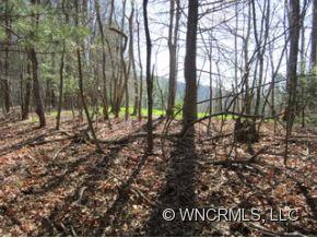 0 Snow Creek Road Bakersville, NC 28705 - Photo 7 of 7