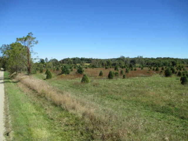 10140 Church Road North Adams, MI 49262 - Photo 2 of 10 George D 002