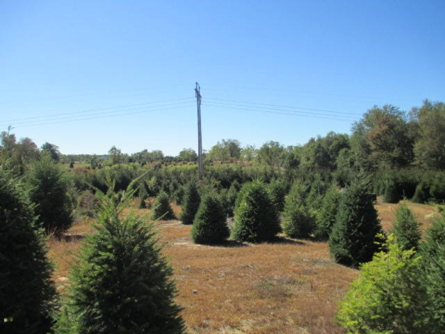 10140 Church Road North Adams, MI 49262 - Photo 9 of 10 George D 011