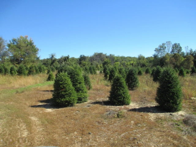 10140 Church Road North Adams, MI 49262 - Photo 10 of 10 George D 012