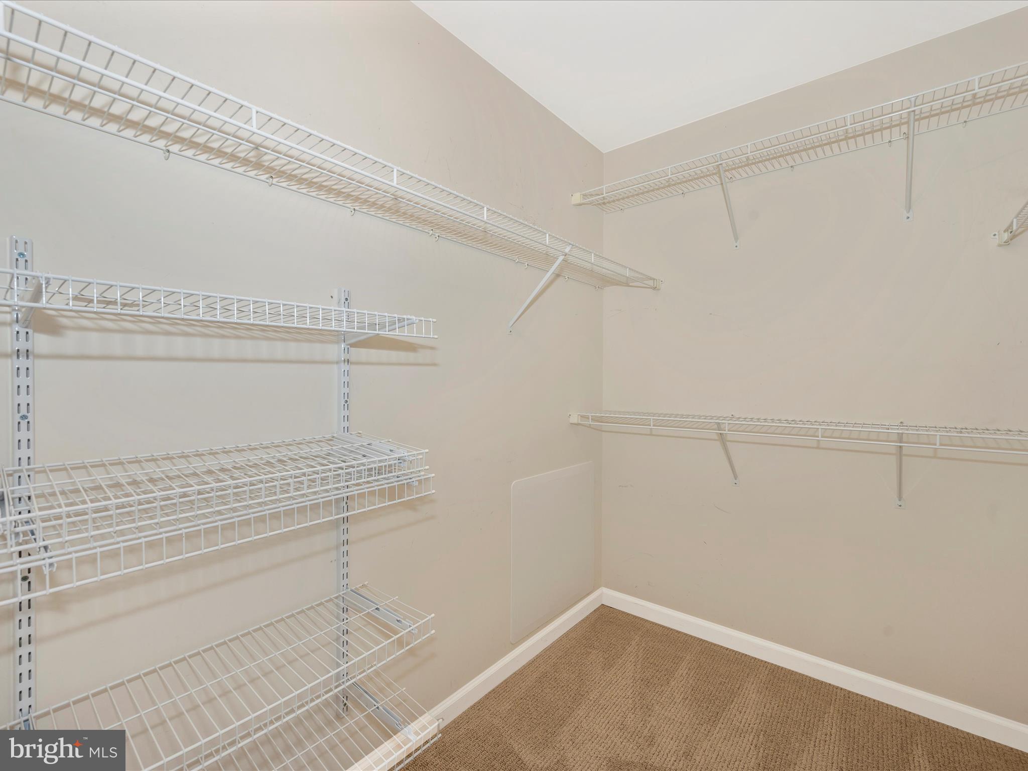3818 Addison Woods Road Frederick, MD 21704 - Photo 28 of 67 Walk in Closet