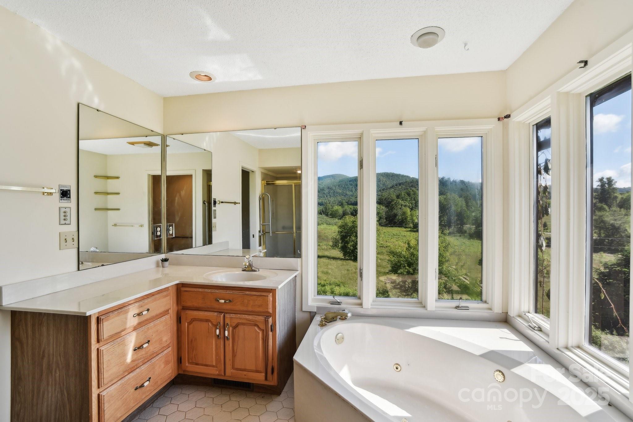 2281 Bearwallow Road Hendersonville, NC 28792 - Photo 18 of 46 a spacious bathroom with a granite countertop tub sink and mirror